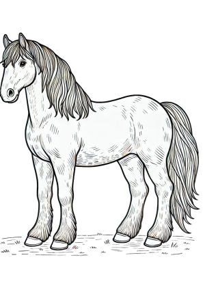 Pferd 3