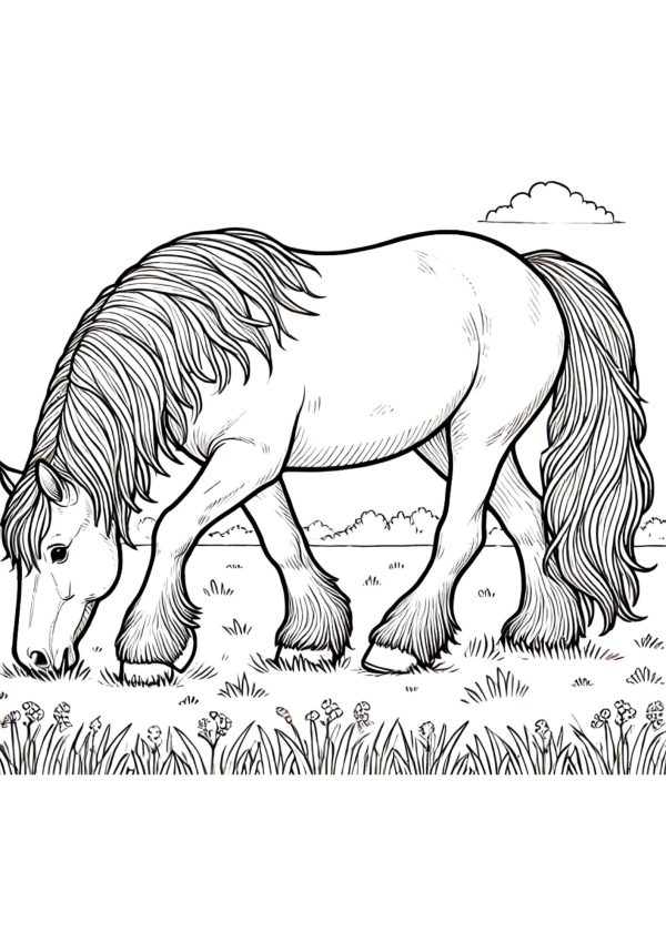 Pferd 6