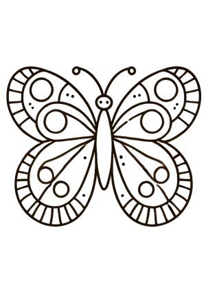 Schmetterling 1