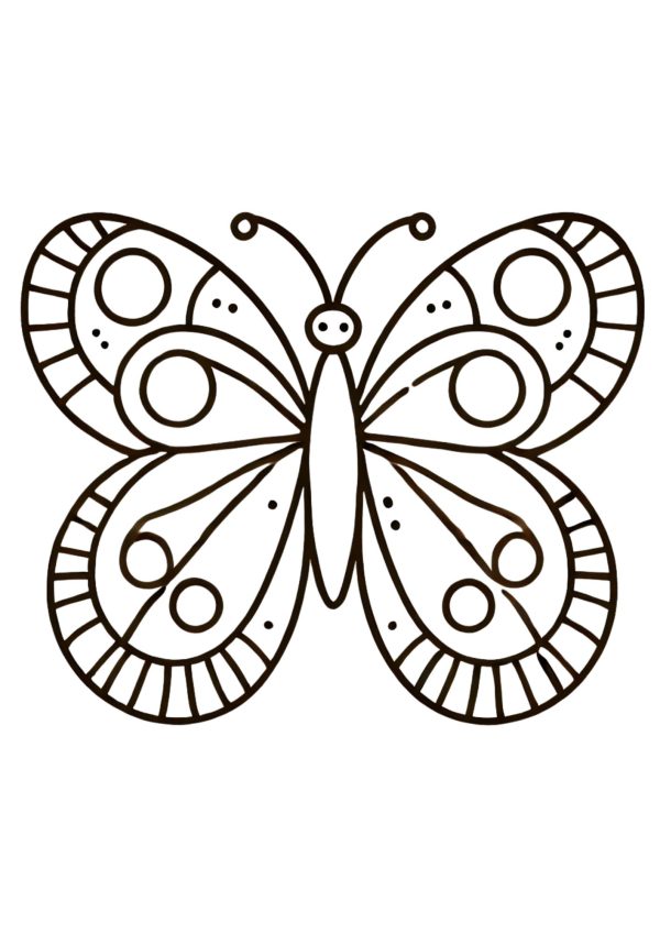 Schmetterling 1