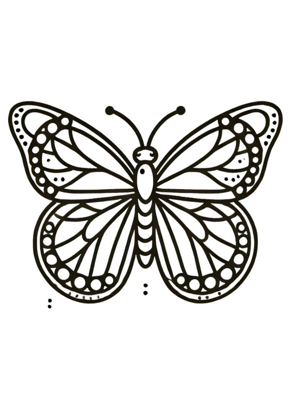Schmetterling 3