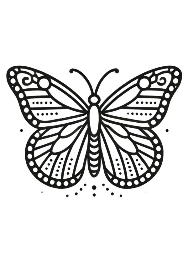 Schmetterling 4